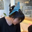 GS25 달서아이파크점 | 슬기로운 방학생활 ) 대구 달서구 리틀멜번, 리프패럿