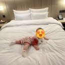 하운드호텔 대구혁신점 | 대구 가성비 숙소 하운드호텔 혁신도시점, 8개월 아기와 1박2일