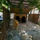 두루와펜션 이미지