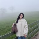 지민목장 이미지