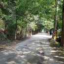 동천1리마을회관 이미지