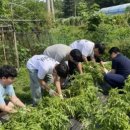 새오름가정의원 이미지