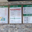 수미코다리 | 세종 밥도둑 맛집! 수미순두부에서 코다리조림에 정신 놓고 온 후기