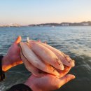생선 - 관악구 남부순환로 1739-8 | 생선