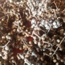 이신농장 이미지