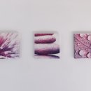 편리한주차약국 이미지