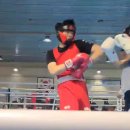 광주화랑권투 이미지