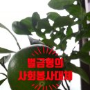 신재호 행정사 사무소 이미지