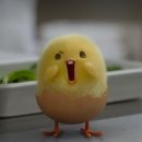 일본어 회화 이미지