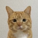 오케이앤굿