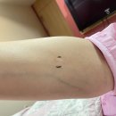 에디스여성병원 이미지