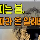 꽃피는 봄날 이미지