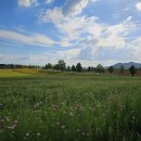 선운산농장 이미지