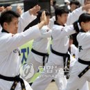 국민태권도 이미지