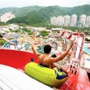 비발디파크오션월드 이미지