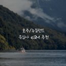 뉴질랜드 - 남구 분포로 145 | [뉴질랜드]호주/뉴질랜드 이심 eSIM::실사용후기(유심사)