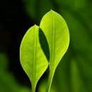 좋은생각 이미지