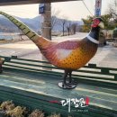 농업회사법인 문경통도리 토종닭주식회사 이미지