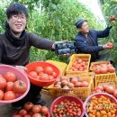 창조농장 이미지