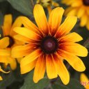 (주)수레와바퀴 이미지