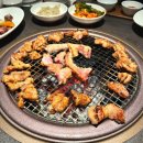 서울가든직원식당 | 여의도 콜키지프리 고기집 청기와가든 여의도점 스트릿 레스토랑 파이터 양지삼 대표 신상 식당 후기