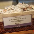 이엘로(Hielo)