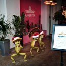 아오리따(Ahorita) 이미지