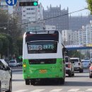 진월전기 - 보성군 봉화로 79 | 진월전기