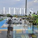 리투스 | 군산 대형카페 오션뷰 리투스 베이커리 카페 내돈내산