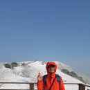 좋은 아침 이미지