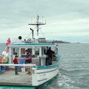 바이더씨 이미지