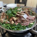 소나무집 이미지