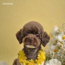 헬로우 인공지능 이미지