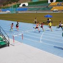 죽림초등학교 이미지