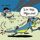 김의원 이미지