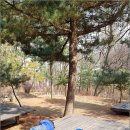 사계절을담다 이미지