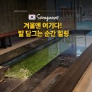 사기막골로 105번길 | 도심 속 노천 족욕! 성남 24시 찜질방 실내 데이트