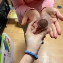 (주)골든피그엔터테인먼트 | 2026.02.02-12 옹이와의 을왕리 나들이, 더위크앤리조트