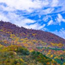 대성카랜드 이미지