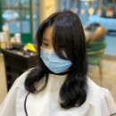 몽브라운