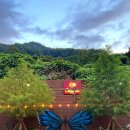 콜라니티다 이미지