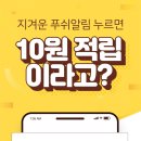 플레이키키 이미지