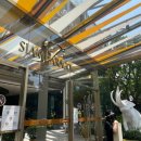 방콕차트리움그랜드 내돈내산 후기 :프리미어 트윈 룸, Savio 조식, 수영장, 헬스장 2박 3일