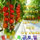 3월 9일(월) '하룻밤을 자도 만리장성을 쌓는다'의 유래 이미지