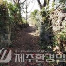 정의1리 이미지