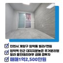 선일부동산공인중개사사무소 이미지