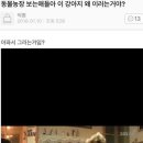 동물농장 이미지