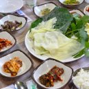 청풍명월 티스토리