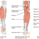이재영한의원 이미지