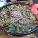 윤정야채